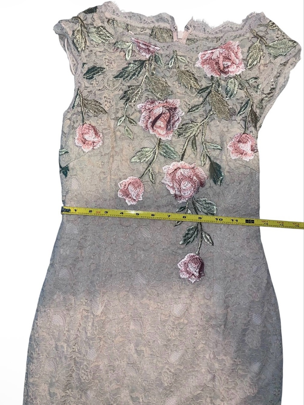 Adrianna Papell Beige Lace Midi Dress with Pink Rose Embroidery - Picture 4 of 5